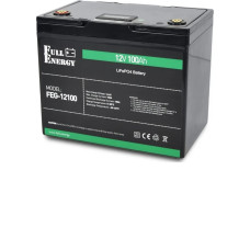 FEG-12100 LiFePO4