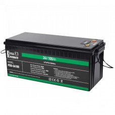 FEG-24100 LiFePO4