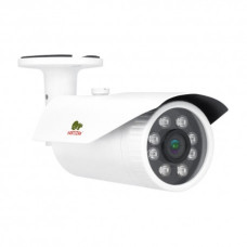 Partizan IPO-VF2LP Cloud v1.2